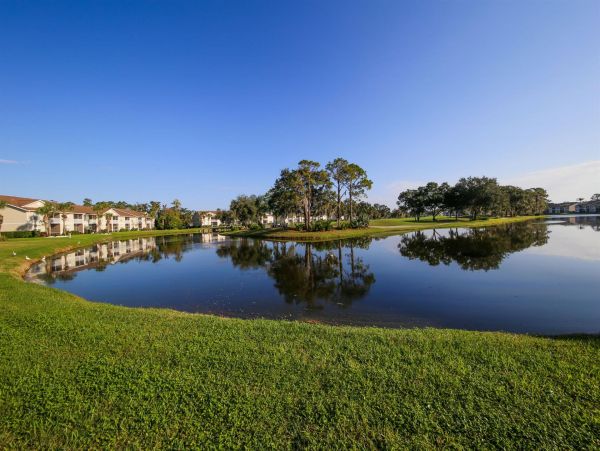 Sarasota Condo 1024016