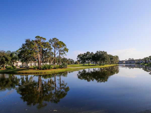 Sarasota Condo 1024016