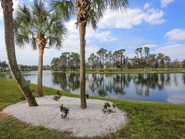 Sarasota Condo 1024016