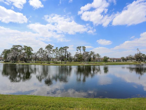 Sarasota Condo 1024016