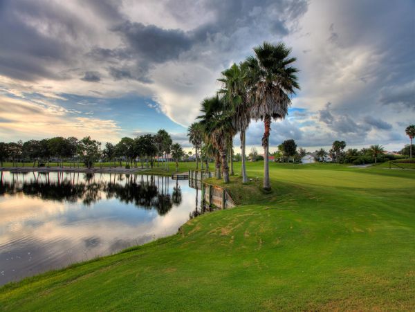 Sarasota Home 1024017