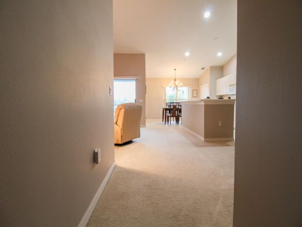 Sarasota Condo 1024019