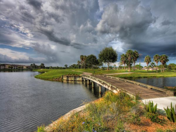 Sarasota Condo 1024019