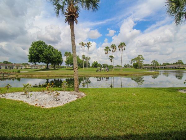 Sarasota Condo 1024020