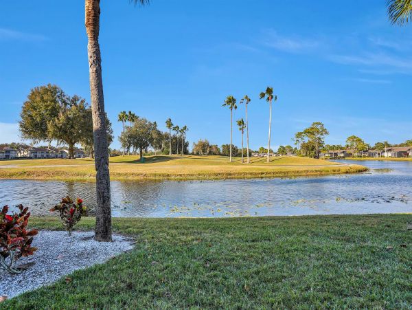 Sarasota Condo 1024020