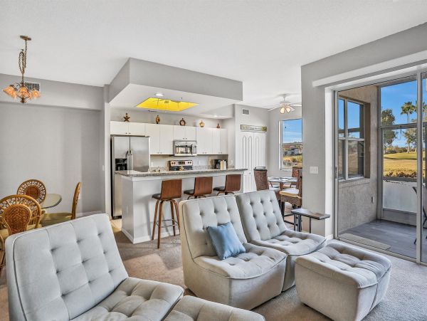 Sarasota Condo 1024020