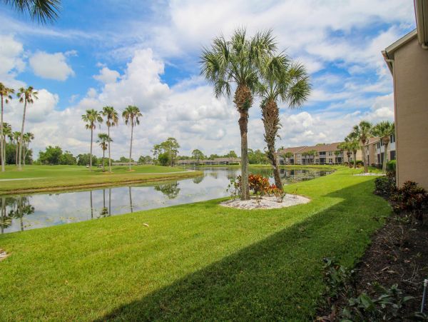 Sarasota Condo 1024020