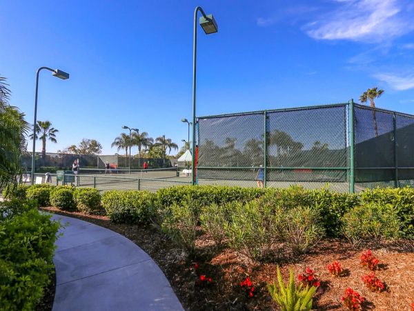 Sarasota Condo 1024020