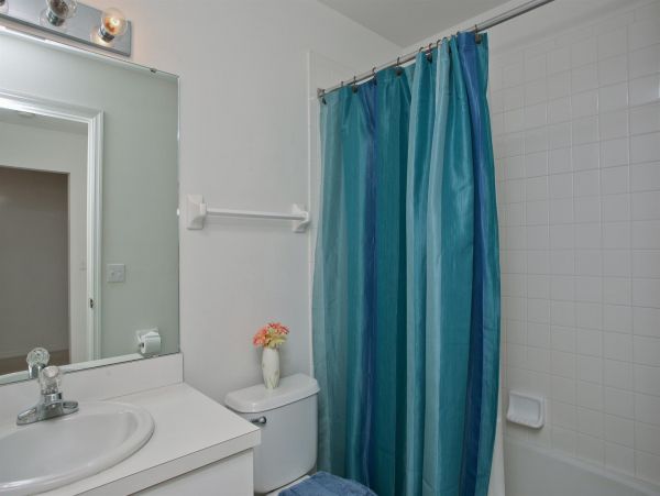 Sarasota Condo 1024021