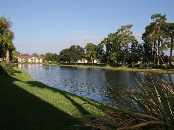 Sarasota Condo 1024021