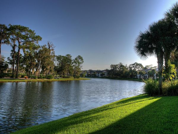 Sarasota Condo 1024021