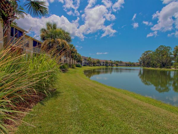 Sarasota Condo 1024023
