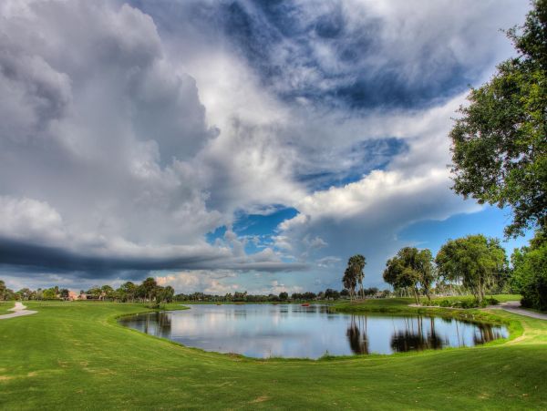 Sarasota Condo 1024023