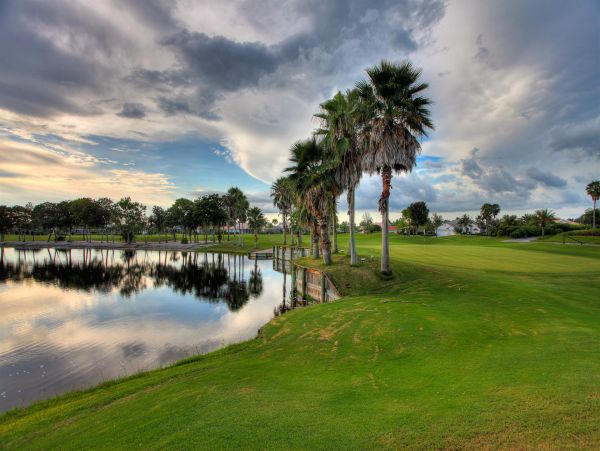 Sarasota Condo 1024023