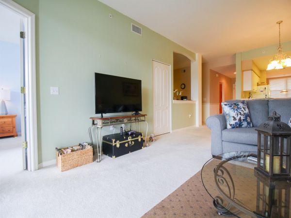 Sarasota Condo 1024024