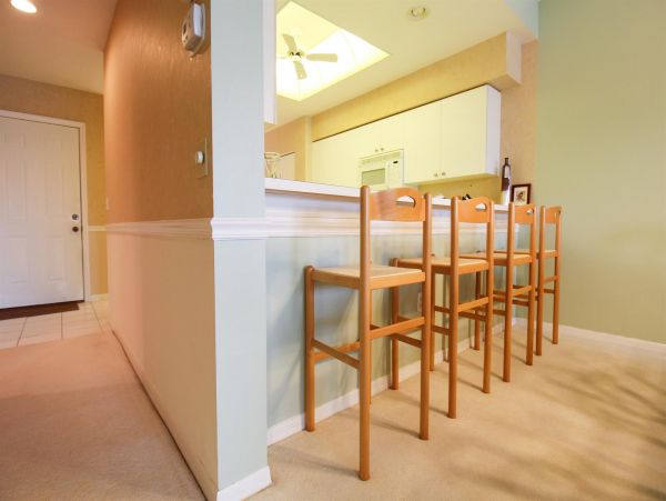 Sarasota Condo 1024024