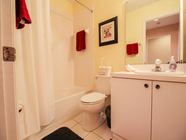 Sarasota Condo 1024024