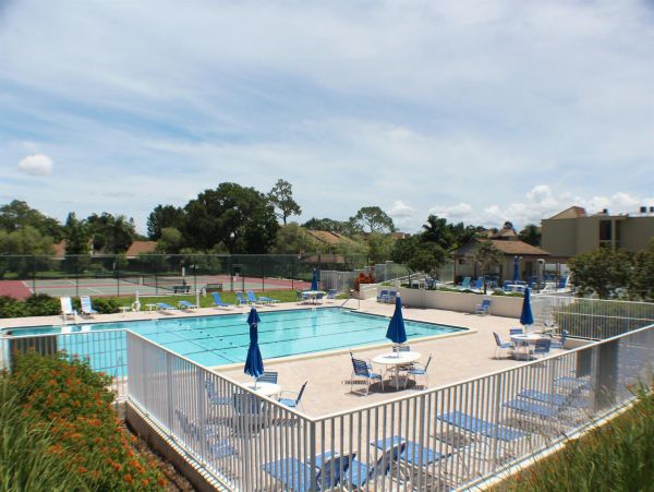 Sarasota Condo 1024028