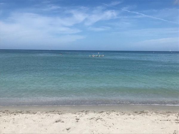 Sarasota Condo 1024028