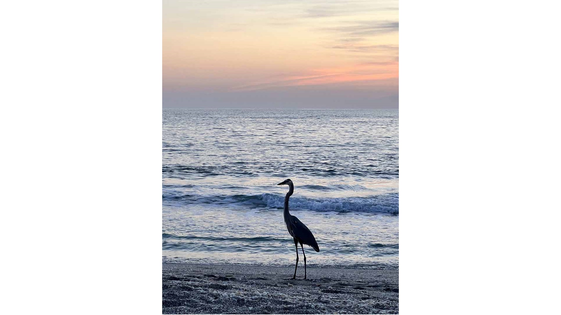 Manasota Key Home 1024062