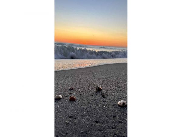 Manasota Key Home 1024062