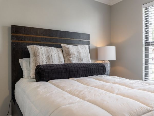 Cape Coral Home 1024111