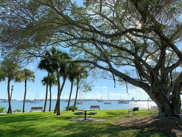 Beautiful Condo in Sarasota Sleeps 3