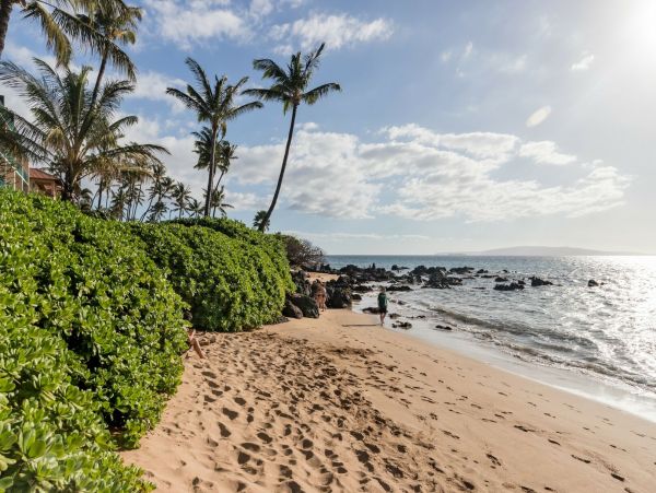 Beautiful Wailea Estate Sleeps 36 Guests