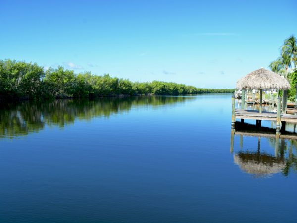 Cape Coral Home 1024269