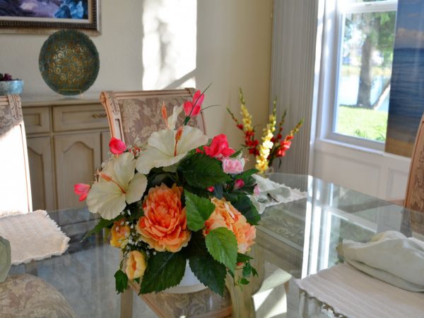 Cape Coral Home 1024276