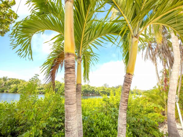 Siesta Key Condo 1024453