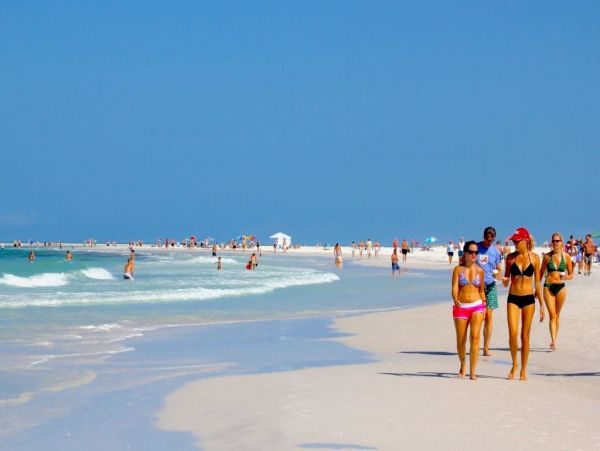 Siesta Key Condo 1024456