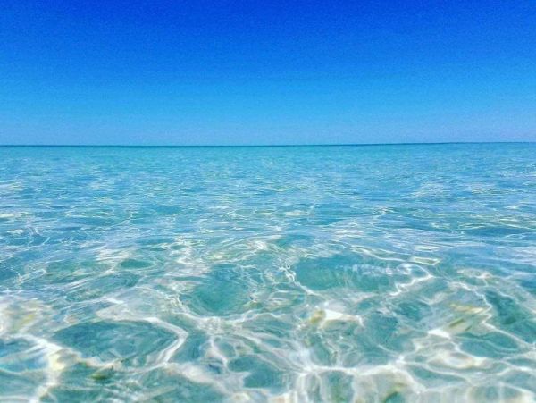 Siesta Key Condo 1024456