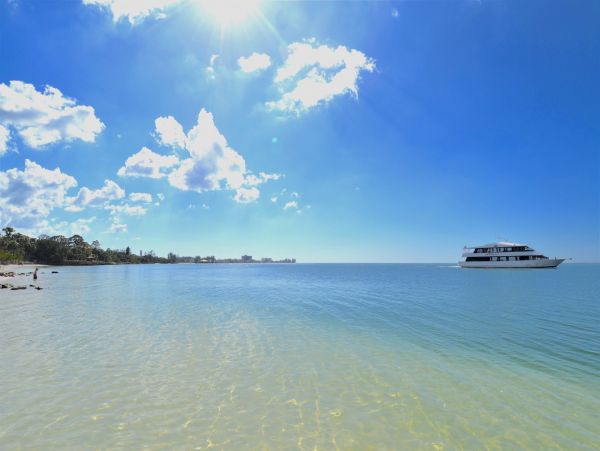 Siesta Key Condo 1024456