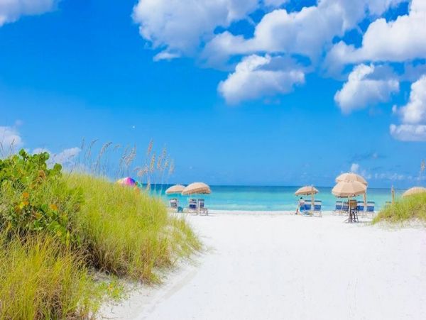 Siesta Key Condo 1024457