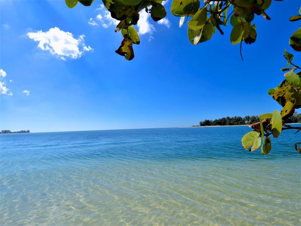Siesta Key Condo 1024460