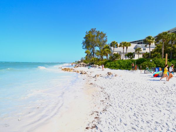 Siesta Key Condo 1024461
