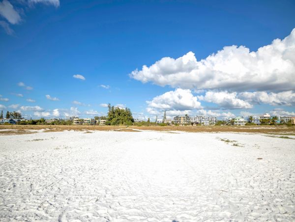 Siesta Key Condo 1024463