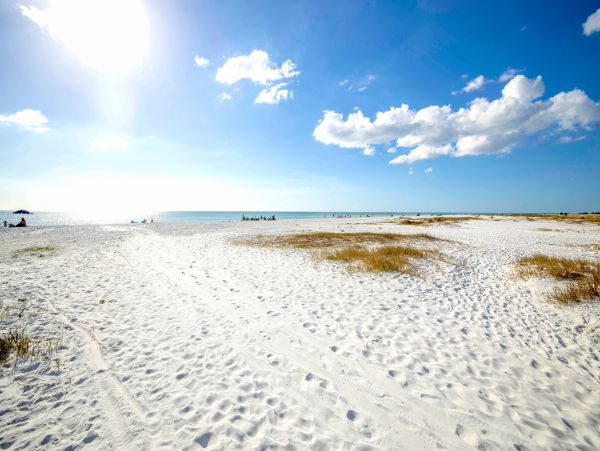 Siesta Key Condo 1024463