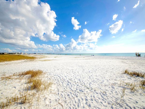 Siesta Key Condo 1024463