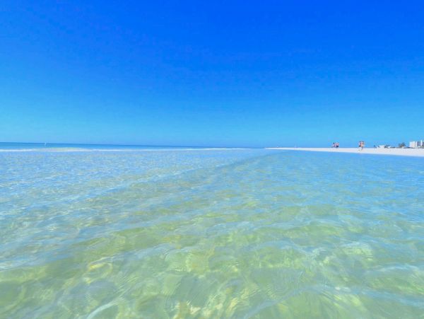 Siesta Key Condo 1024465