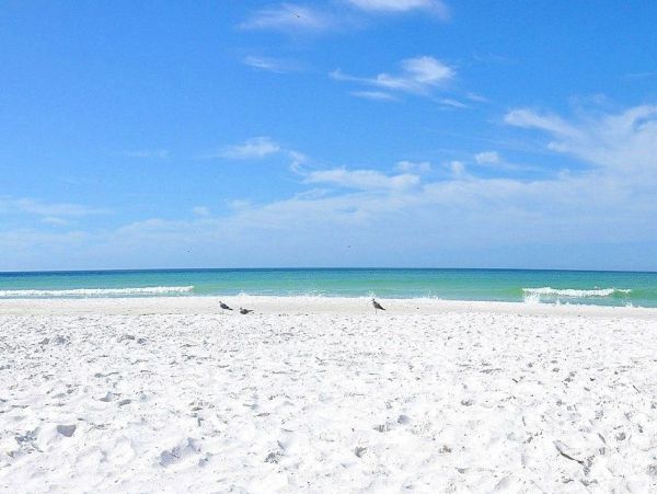 Siesta Key Two Bedroom Tropical Cottage