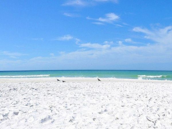 Siesta Key Vacation Rental Private Beachfront with Gulf Views