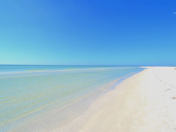 Siesta Key Condo 1024472