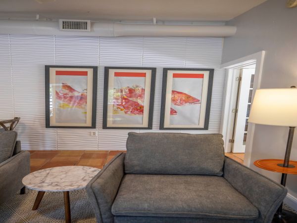 Siesta Key Condo 1024472