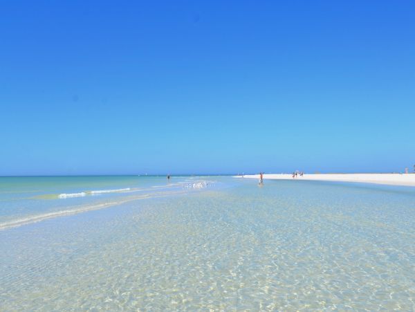 Siesta Key Condo 1024473