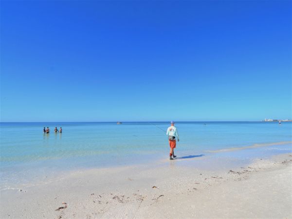 Siesta Key Condo 1024473