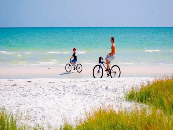 Siesta Key Condo 1024473