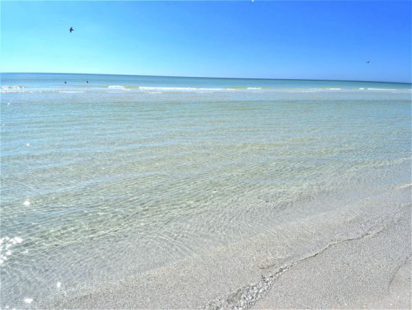 Siesta Key Condo 1024476