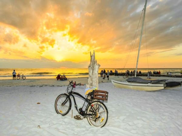 Siesta Key Condo 1024480